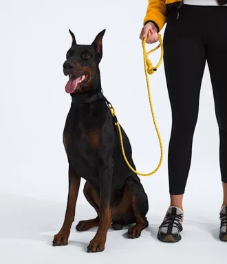 TNF™ Pet Leash TNF™ Pet Leash