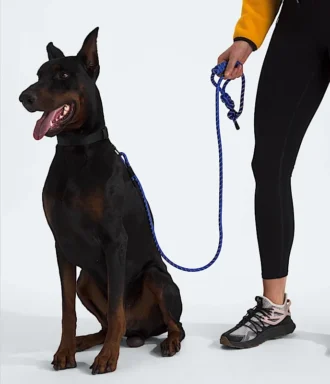 TNF™ Pet Leash TNF™ Pet Leash
