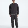 TNF™ Red Box Crew til mænd TNF™ Red Box Crew til mænd