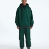 TNF™ Red Box Hoodie til mænd TNF™ Red Box Hoodie til mænd