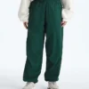 TNF™ Red Box Packable Wind Pants til mænd TNF™ Red Box Packable Wind Pants til mænd