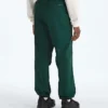 TNF™ Red Box Packable Wind Pants til mænd TNF™ Red Box Packable Wind Pants til mænd